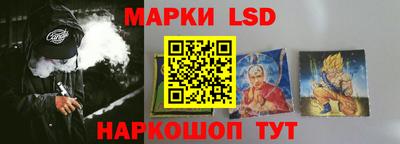 индика Дубна