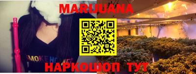 индика Дубна