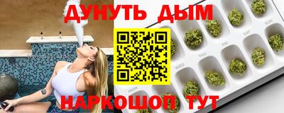 индика Дубна