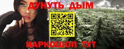 индика Дубна