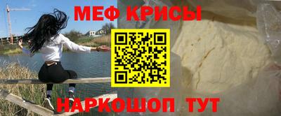 индика Дубна