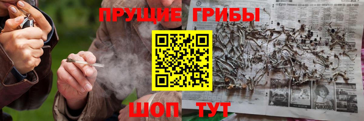 Минеральные Воды  Псилоцибиновые грибы MAGIC MUSHROOMS  Вход с VPN  Галлюциногенные грибы GOLDEN TEACHER 